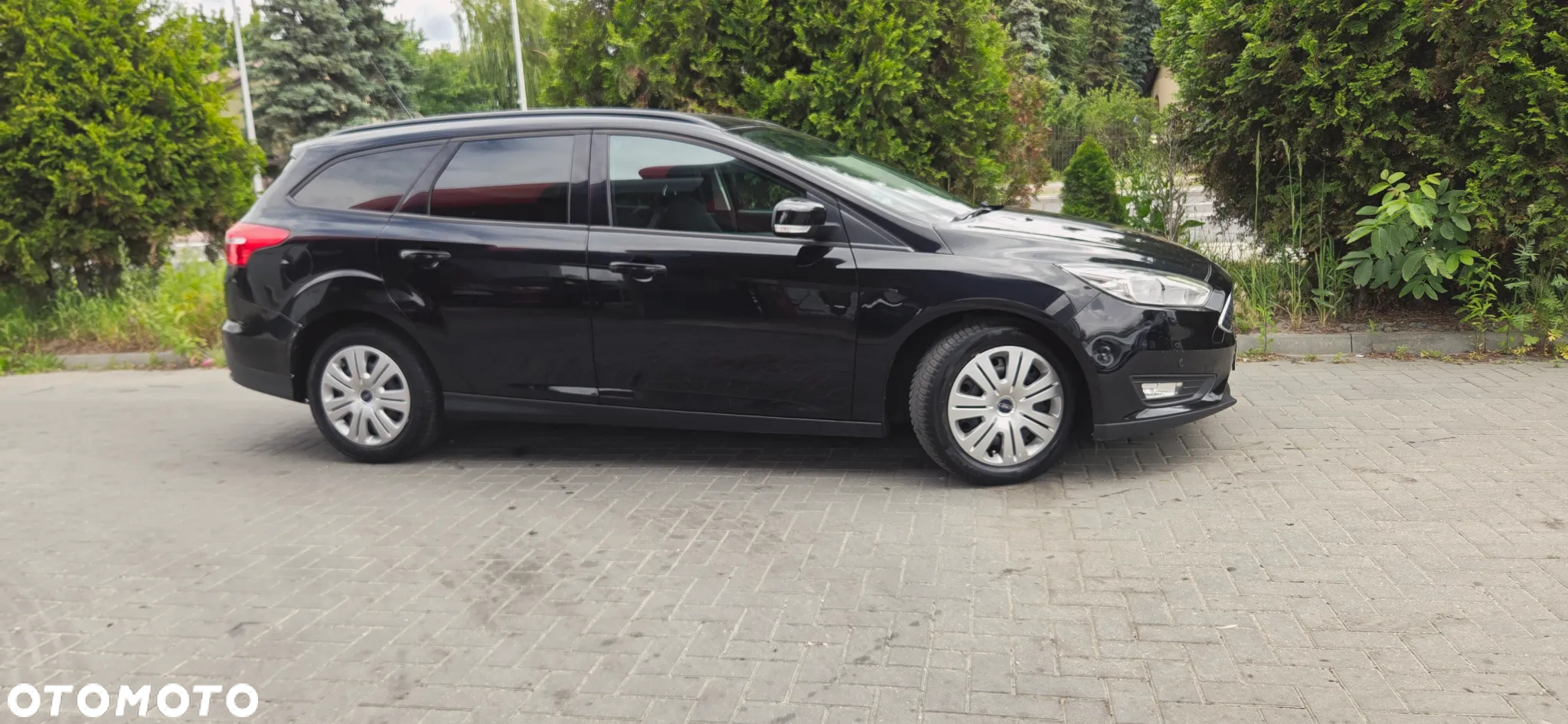 Ford Focus 1.5 EcoBlue Active Business - 19