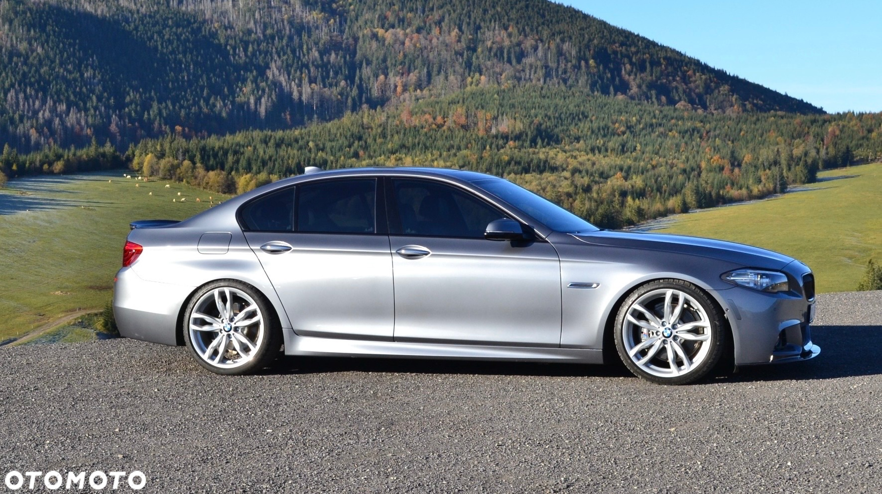 BMW Seria 5 - 15