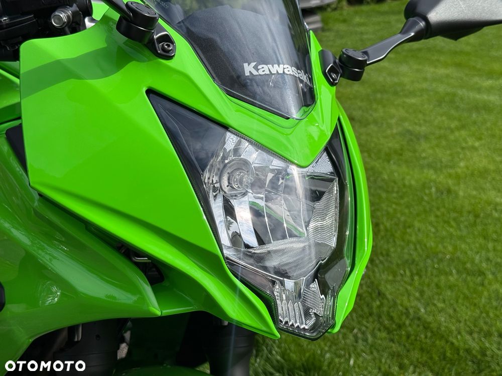 Kawasaki Ninja - 3
