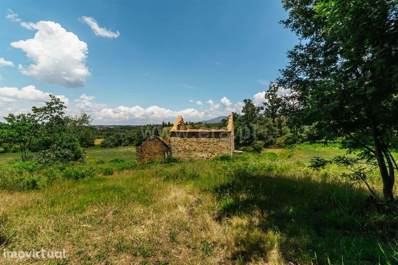 Quinta / Seia, Santiago - Grande imagem: 5/12