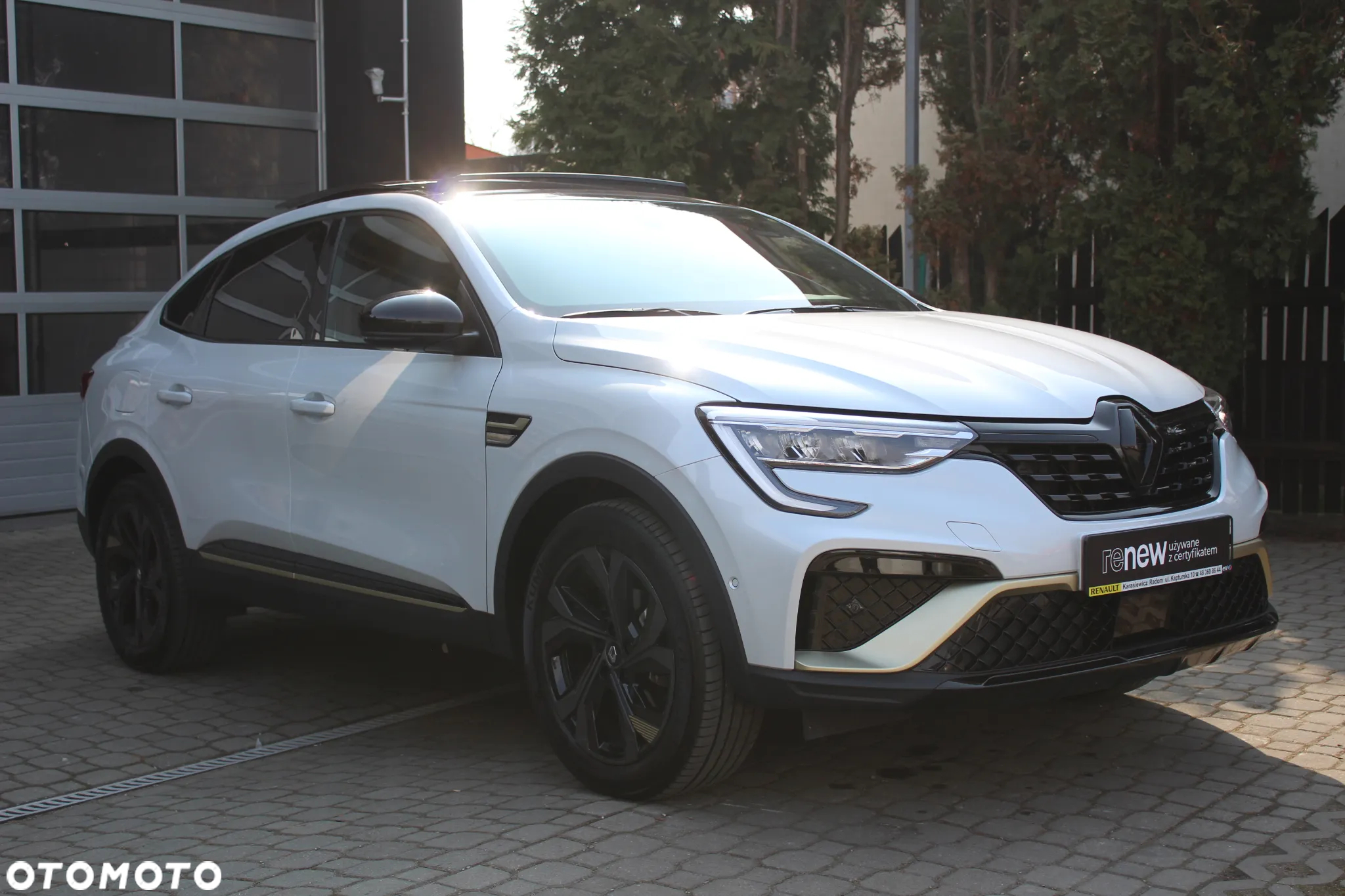 Renault Arkana - 7
