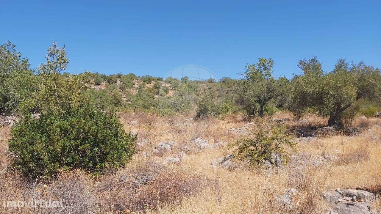 Terreno  para venda - Grande imagem: 4/8