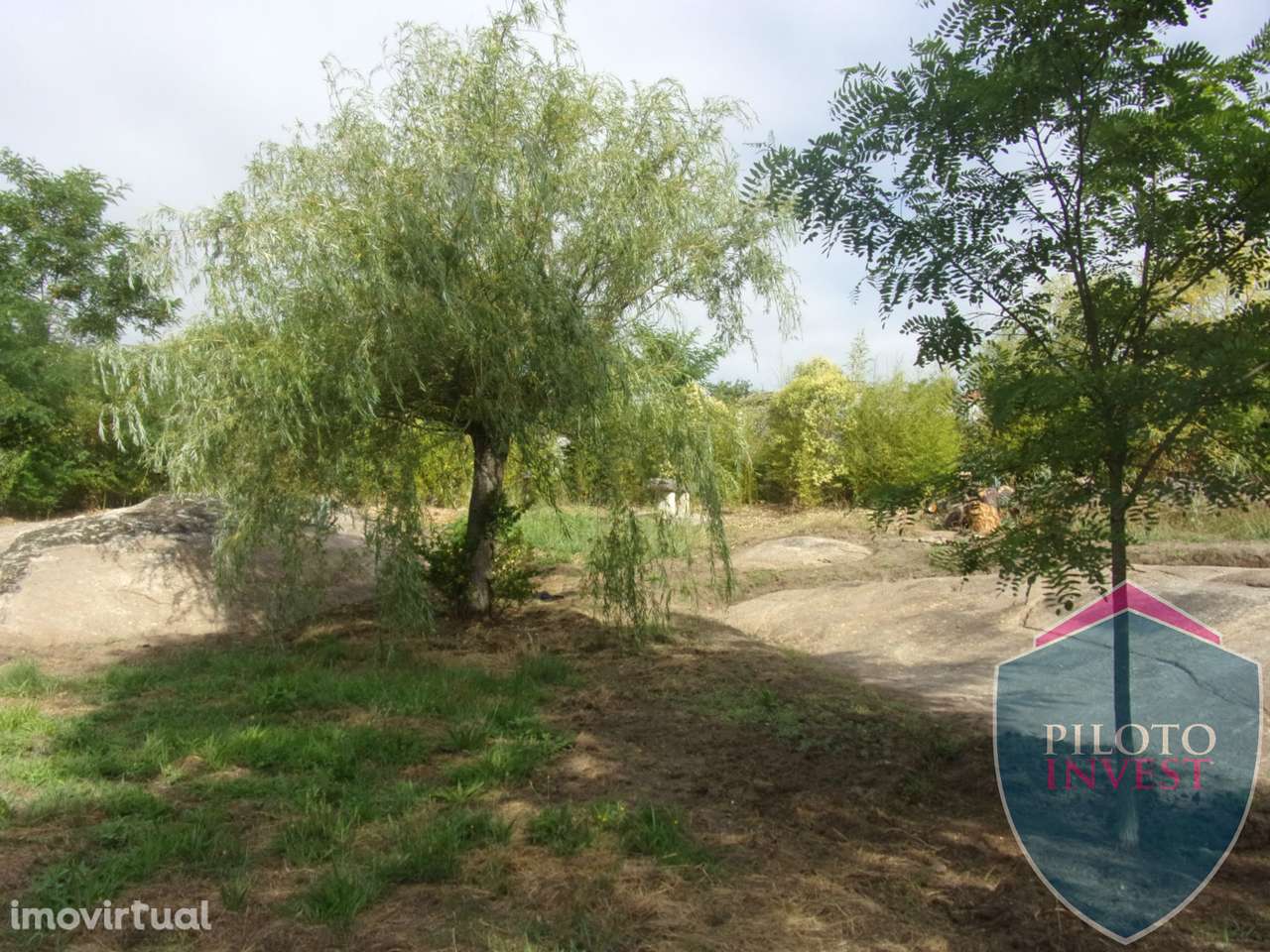 Quinta  Venda em Faíl e Vila Chã de Sá,Viseu - Grande imagem: 2/22