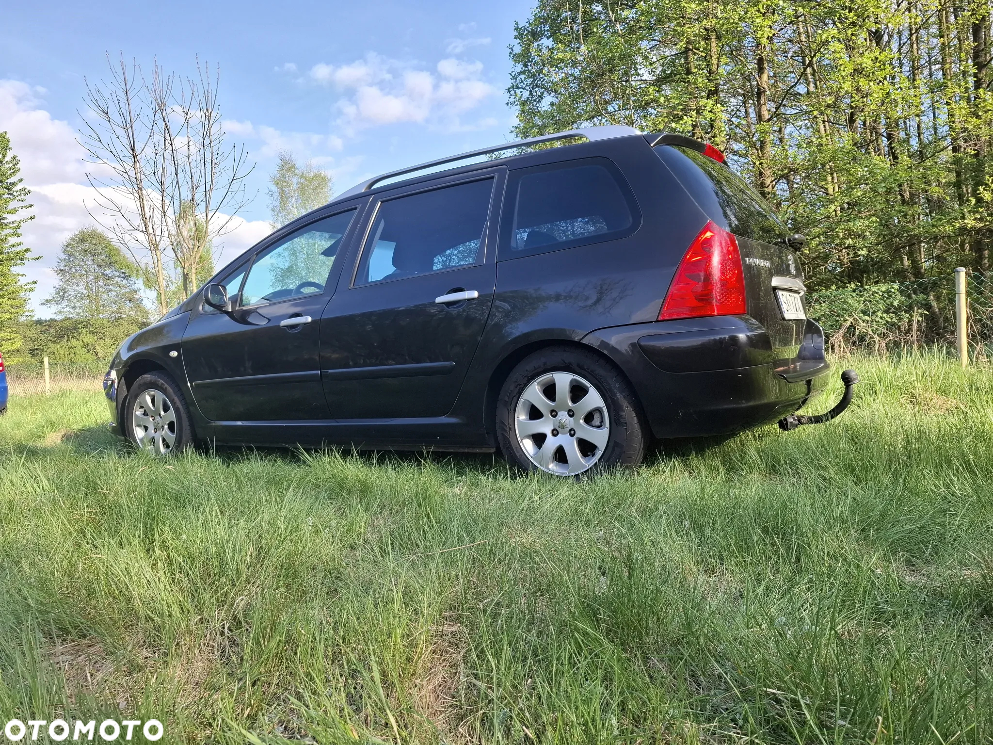 Peugeot 307 - 5