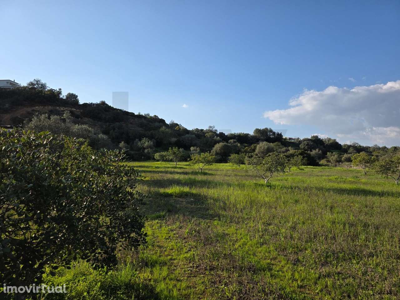 Terreno Rústico em "Vale das Fontes" - Porches - Algarve - Grande imagem: 2/34