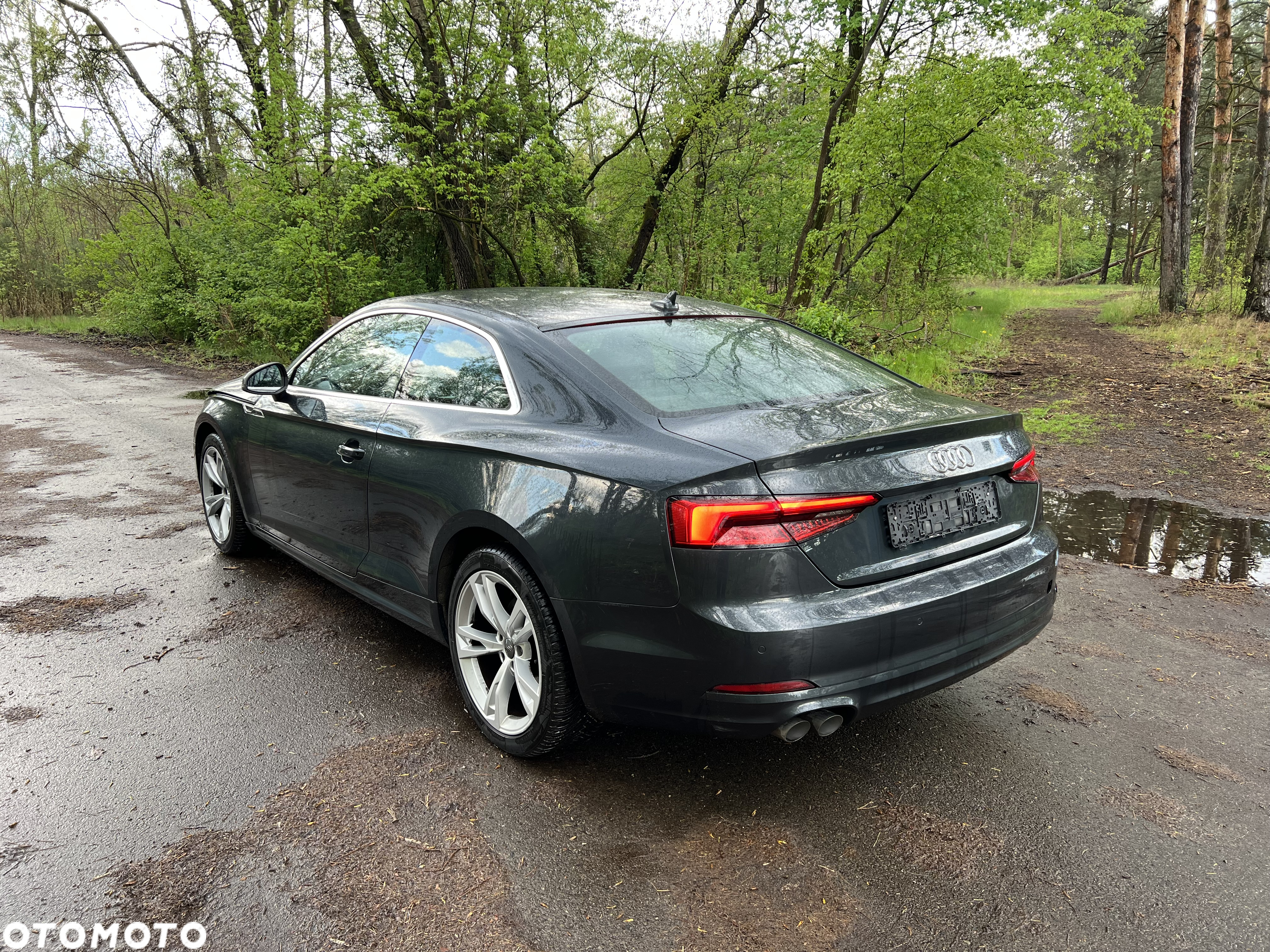 Audi A5 2.0 TDI DPF (clean diesel) - 7
