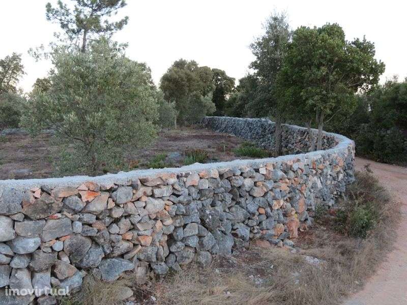 Terreno Rústico - Serra de Aire - Grande imagem: 4/7