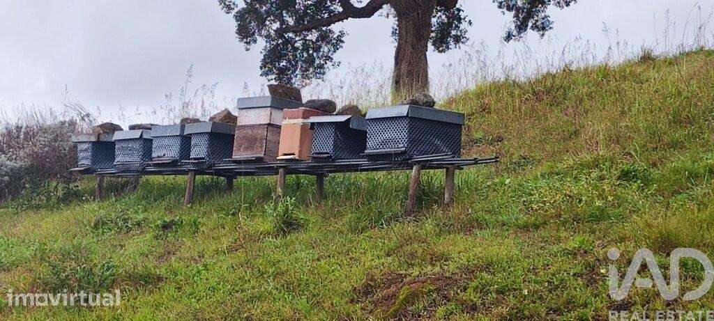 Terreno em Cerdal de 8000,00 m2 - Grande imagem: 3/22