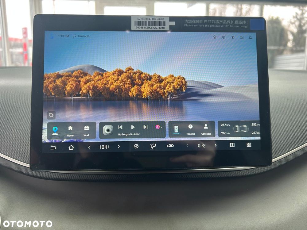 BYD Dolphin Surf - 12
