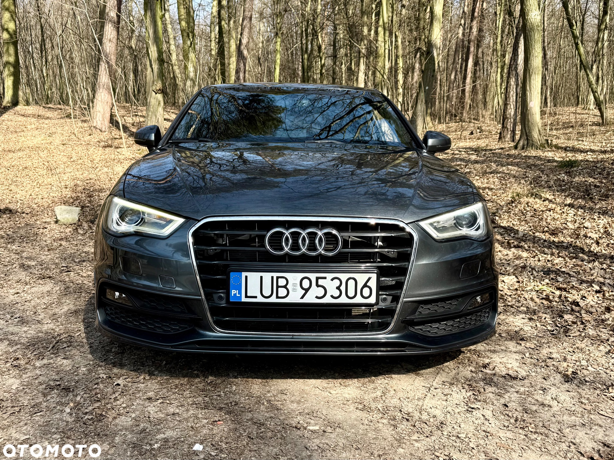 Audi A3 2.0 TDI S tronic S line Sportpaket - 2