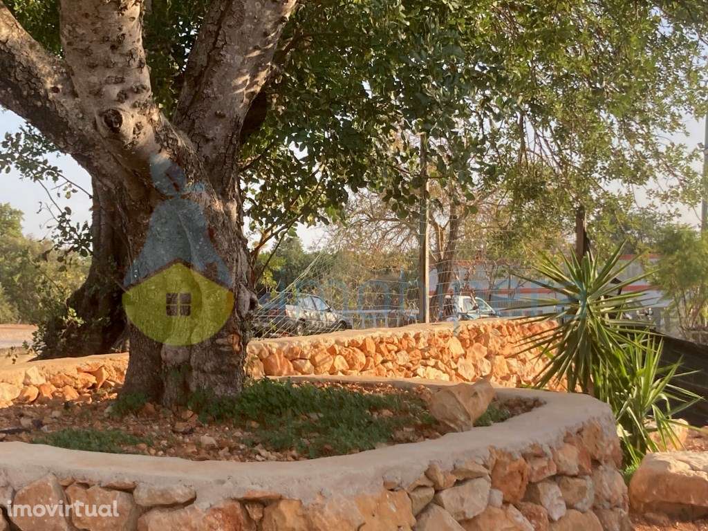 MORADIA T5 EXCELENTE ARQUITECTURA EM CERRO DO OURO - Grande imagem: 5/50