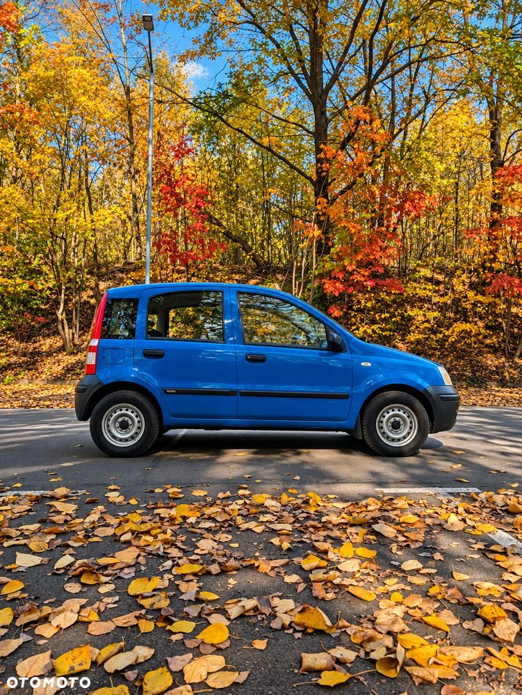 Fiat Panda - 2