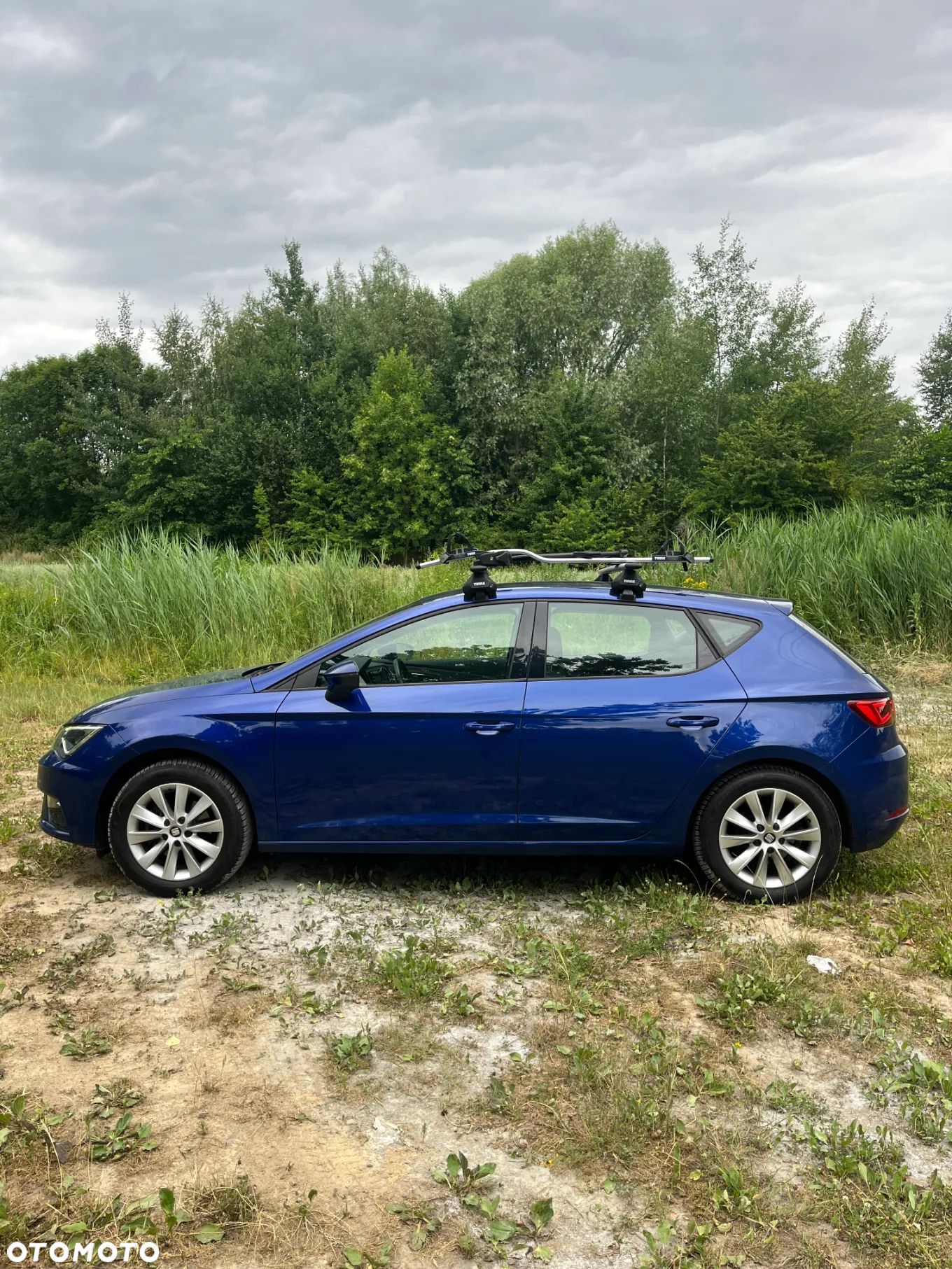 Seat Leon 1.5 EcoTSI Evo Full LED S&S - 2