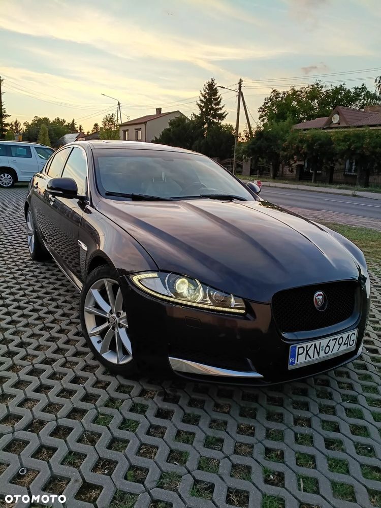 Jaguar XF 2.2 D Premium Luxury - 2
