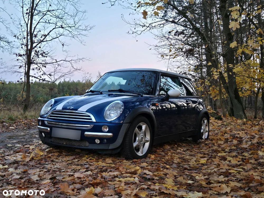 MINI Cooper chili - 1