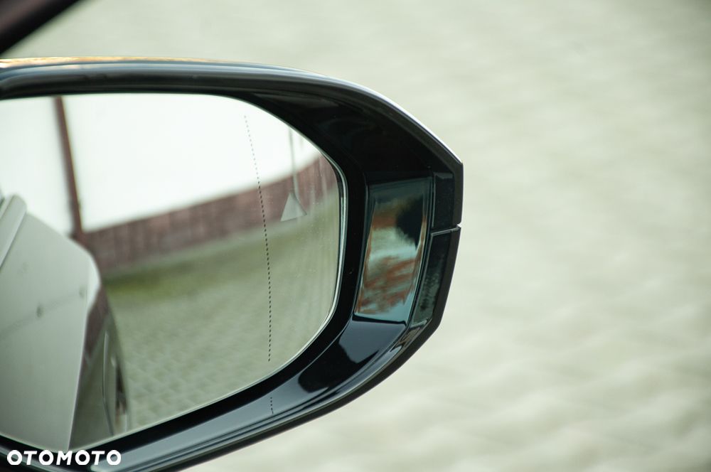 BMW Seria 5 520d mHEV - 24