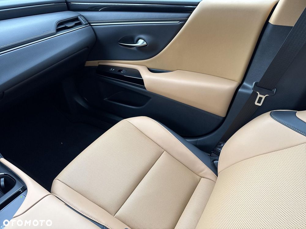 Lexus ES 300h Business Edition - 20