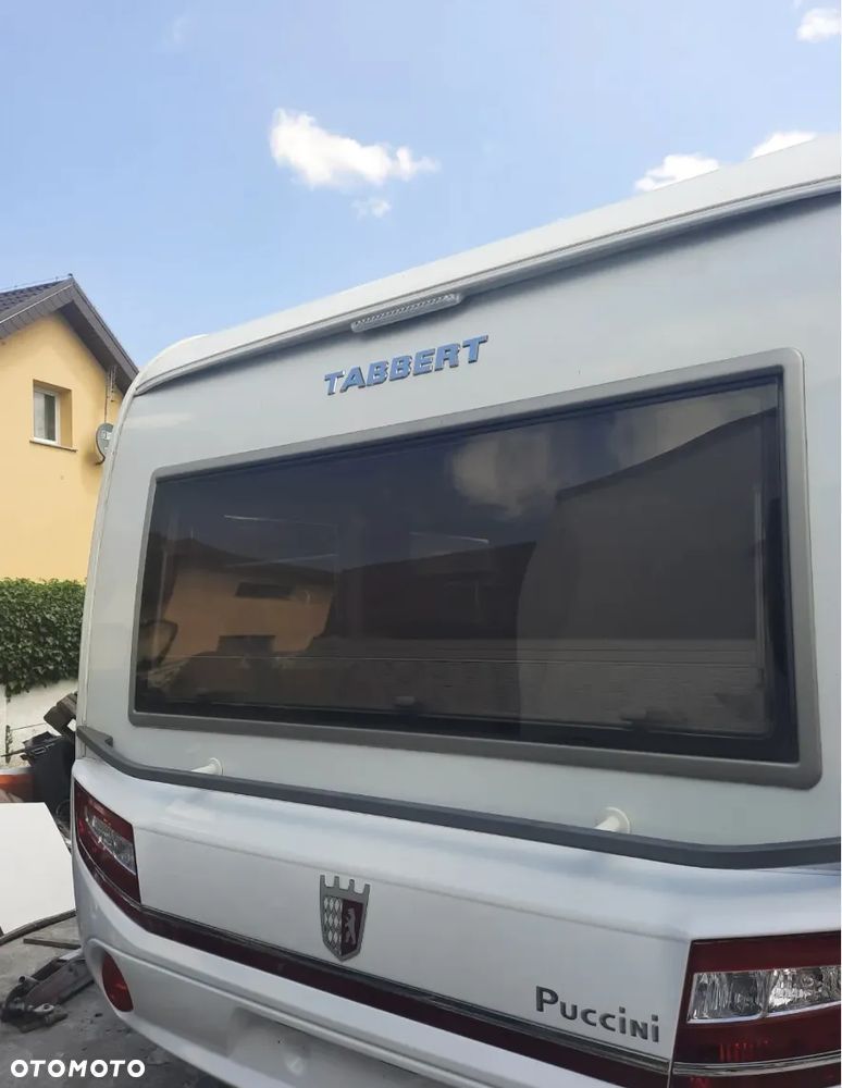 Tabbert Puccini - 2