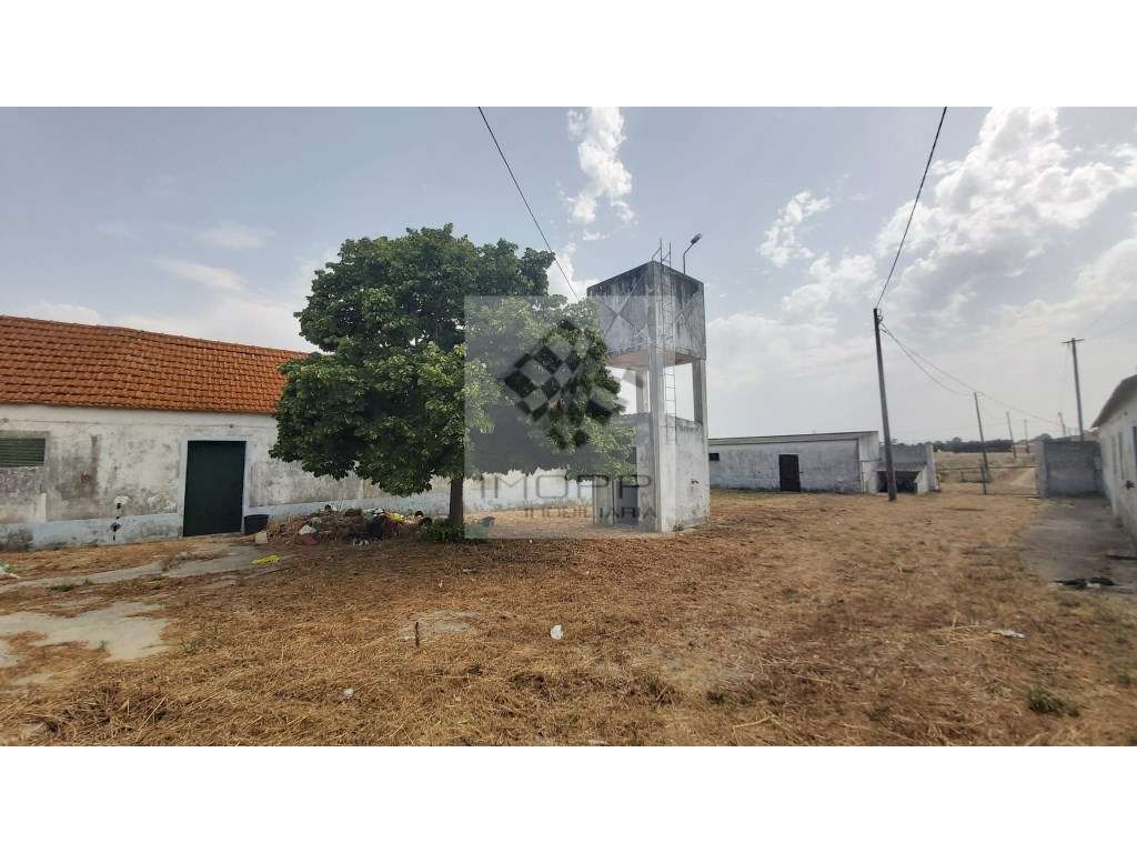 Oportunidade única em Lagameças, Palmela - Terreno Urbano e Rústico... - Grande imagem: 2/47