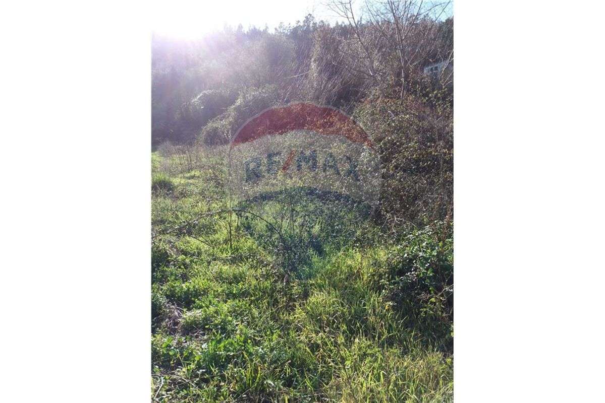 Terreno T0 para venda - Grande imagem: 5/6