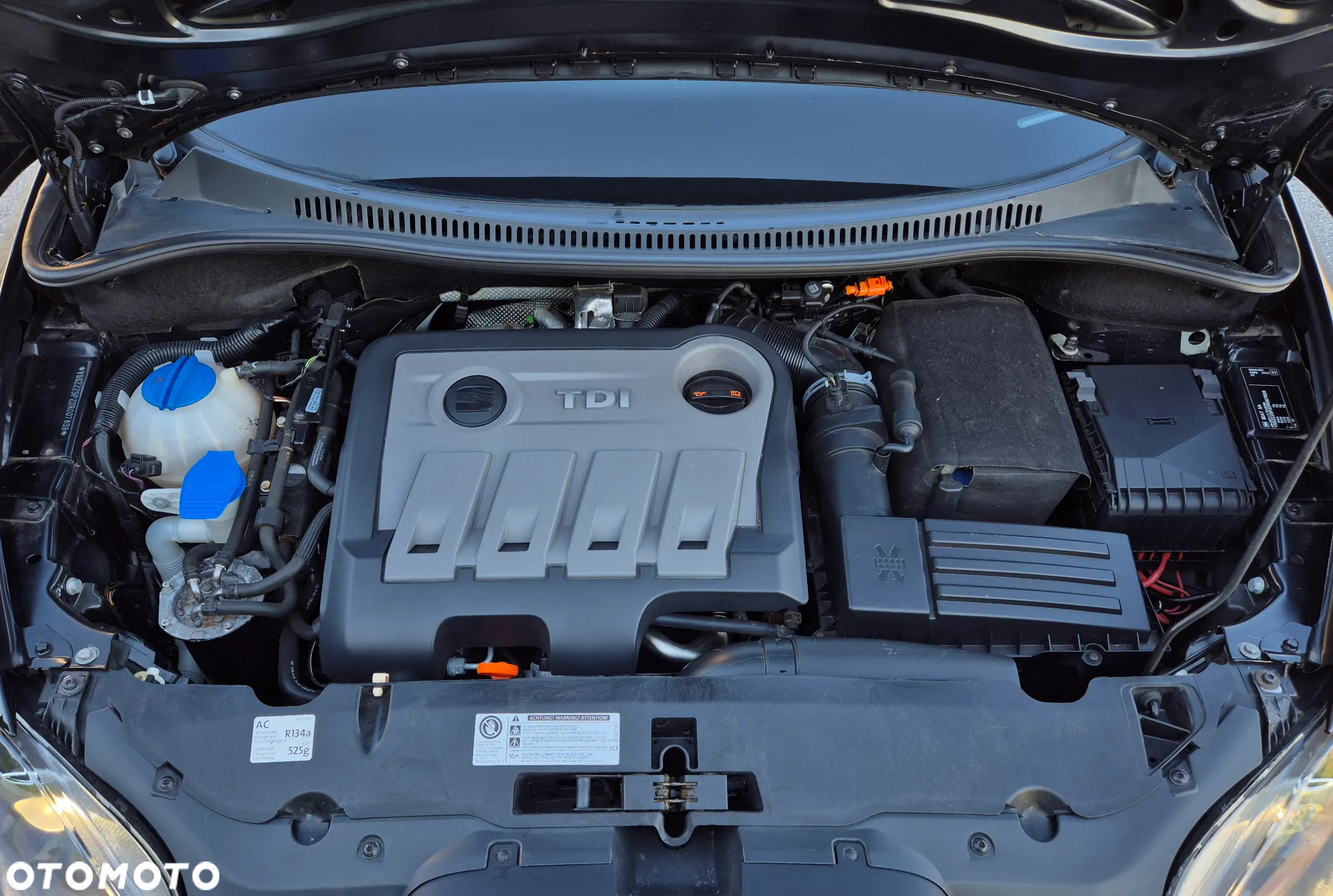 Seat Altea XL - 21
