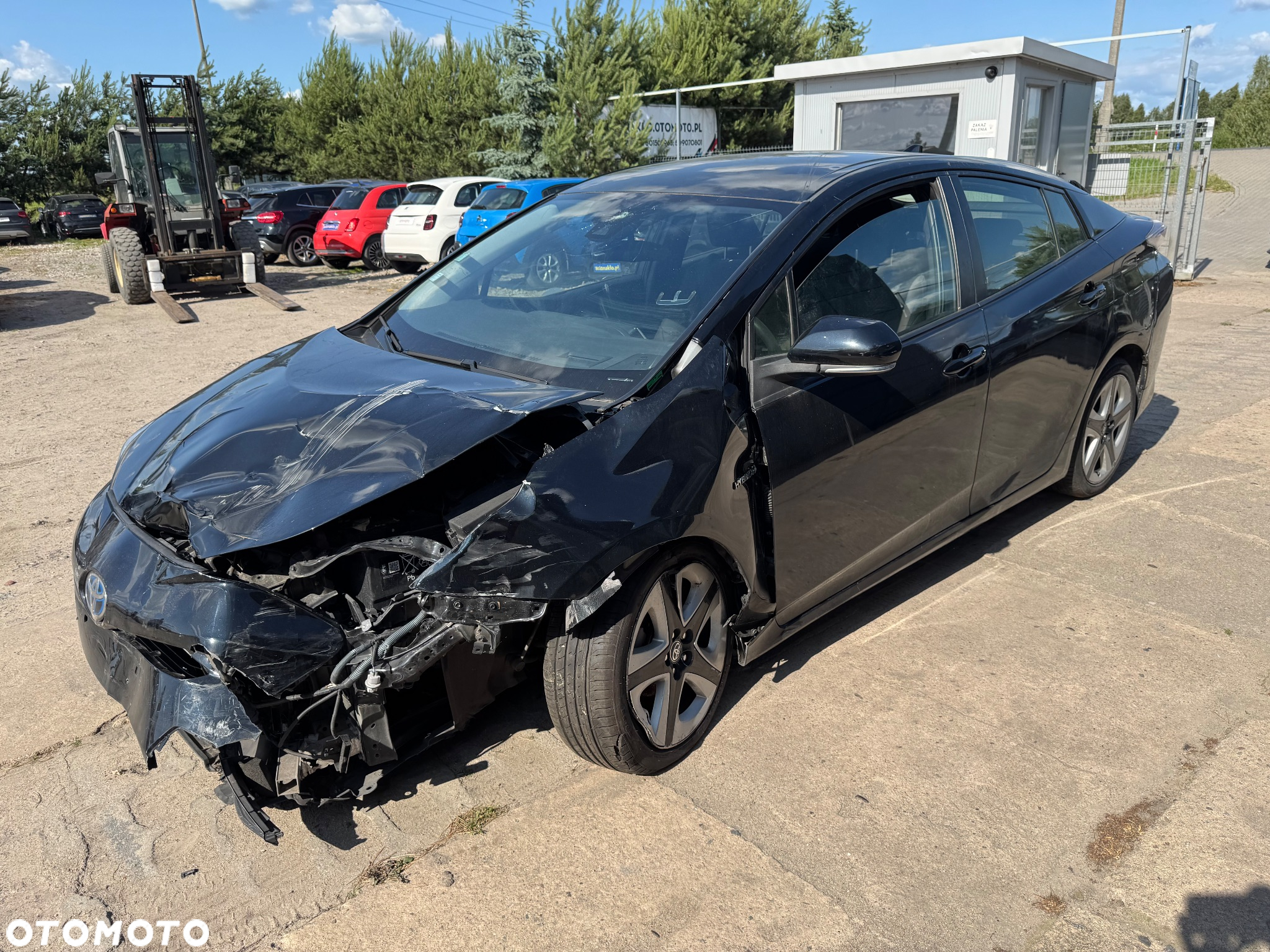 Toyota Prius Hybrid - 4