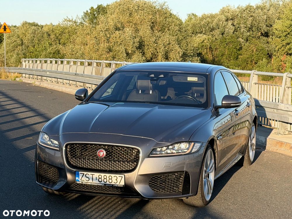 Jaguar XF 30t AWD Chequered Flag - 3