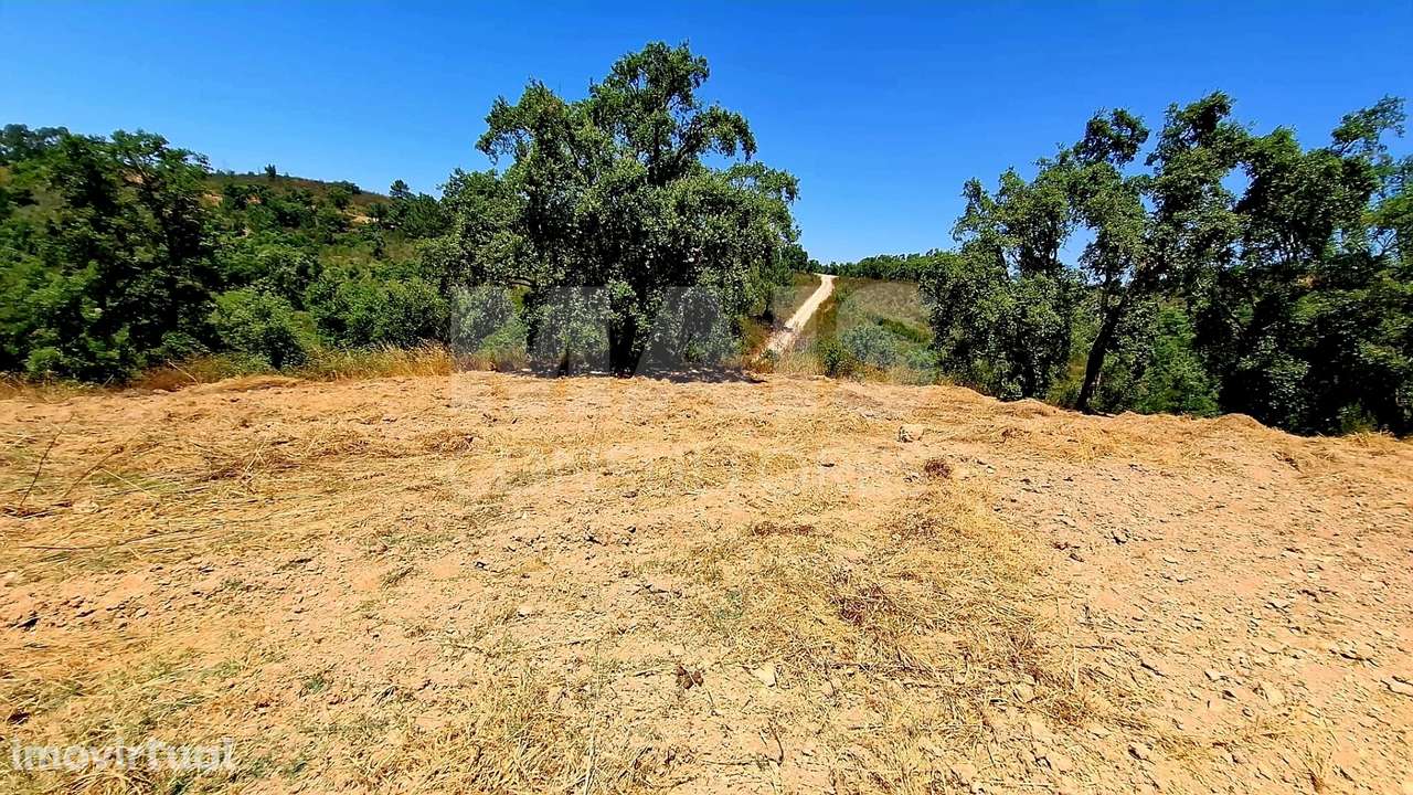 Herdade com 73,7 hectares em Relíquias, Odemira - Grande imagem: 2/20