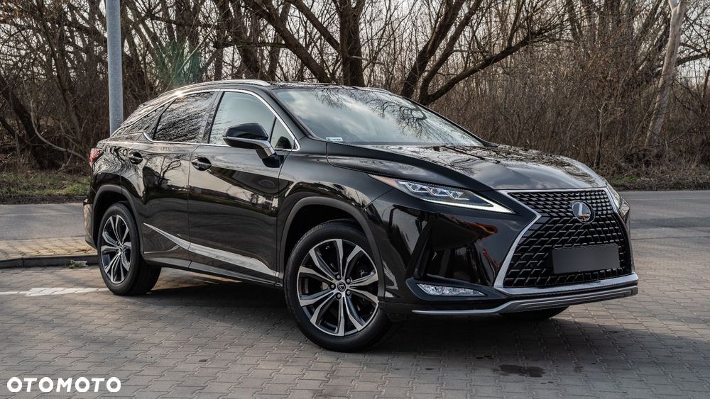 Lexus RX 300 Business Edition + - 30