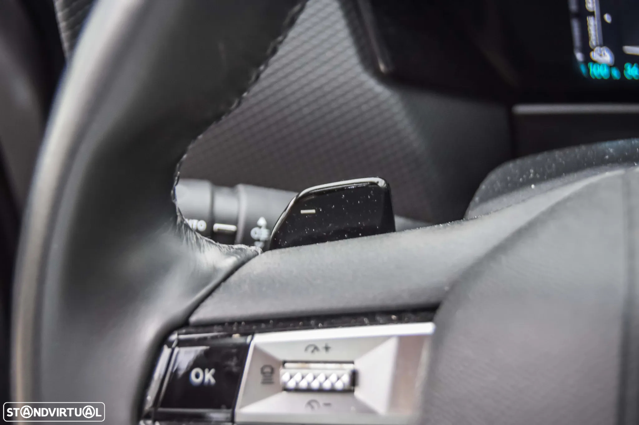 DS DS4 E-Tense Rivoli EAT8 - 25