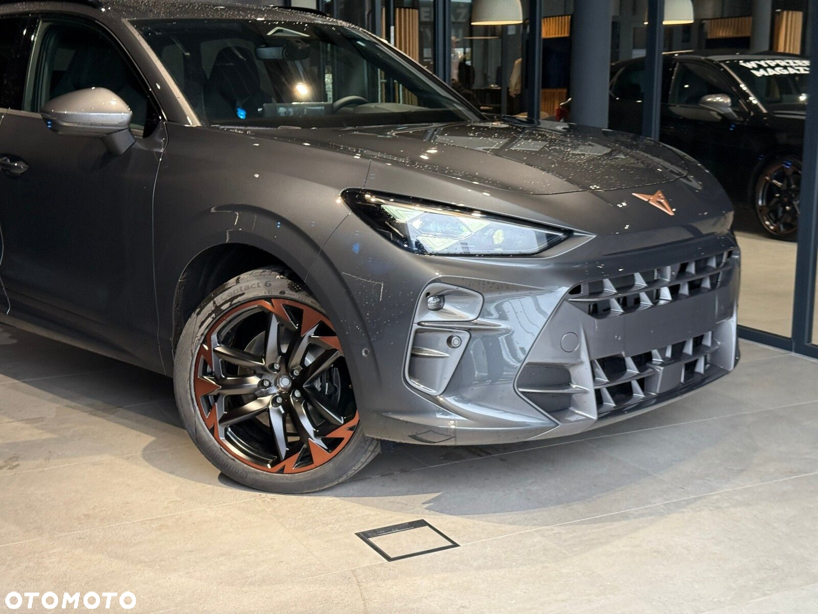 Cupra Terramar - 9