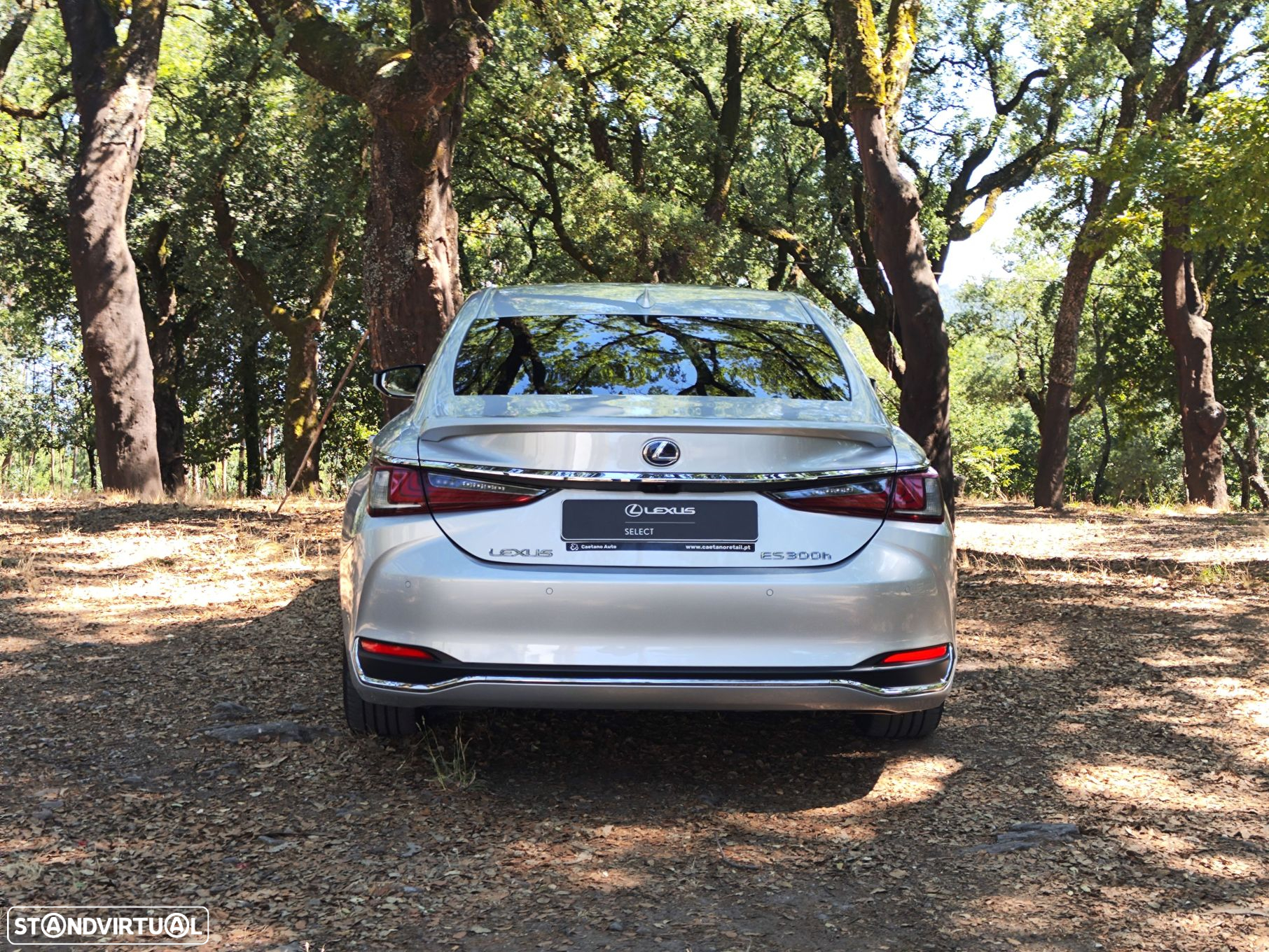 Lexus ES 300h Executive+ - 6