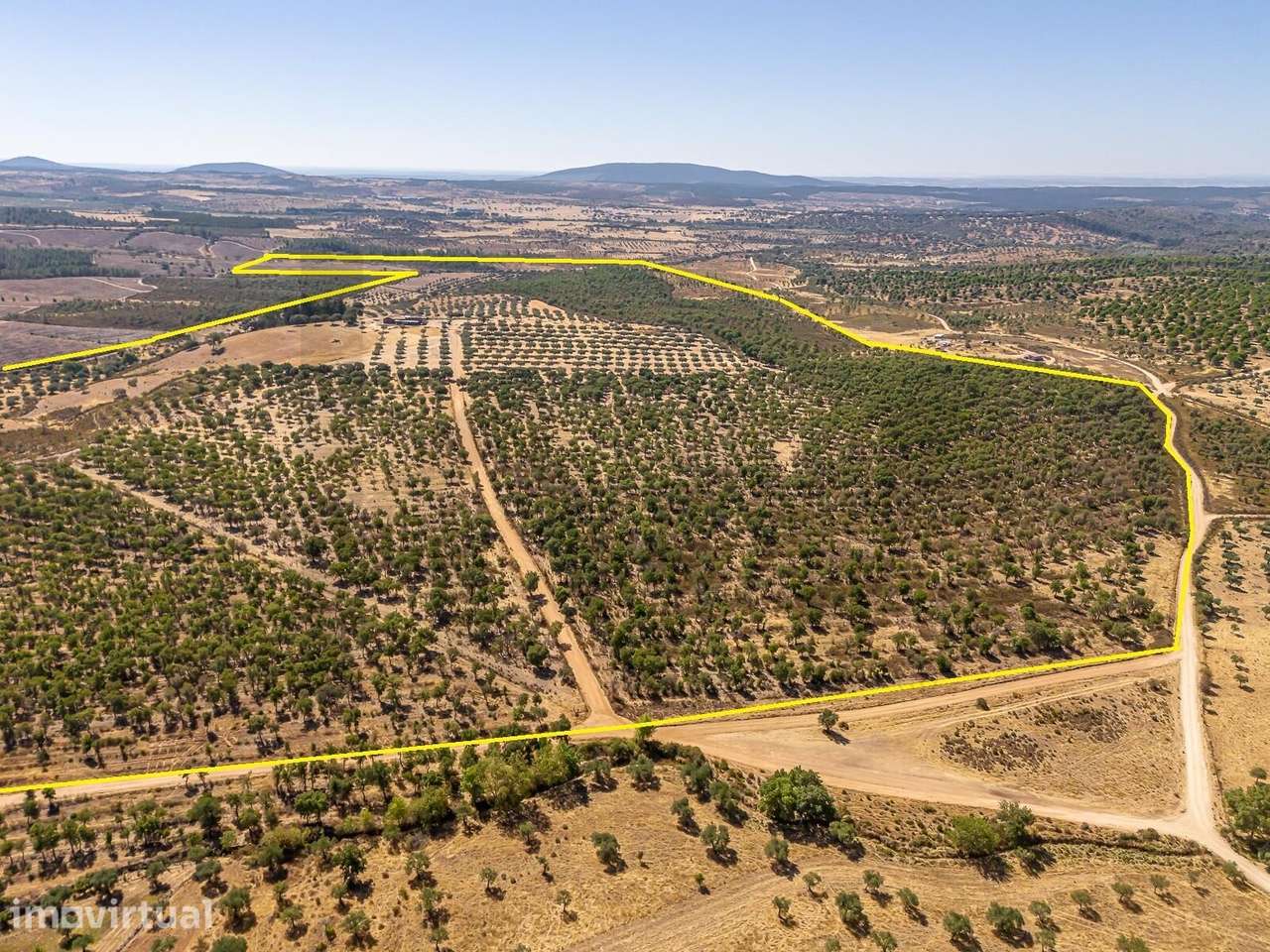 Herdade com 150 ha em Monsanto, Idanha-a-Nova | Montado de Sobro, Oliv - Grande imagem: 5/31