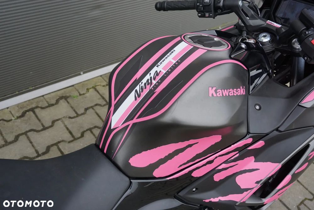 Kawasaki Ninja - 8