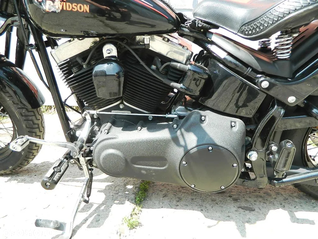 Harley-Davidson Softail Cross Bones - 10