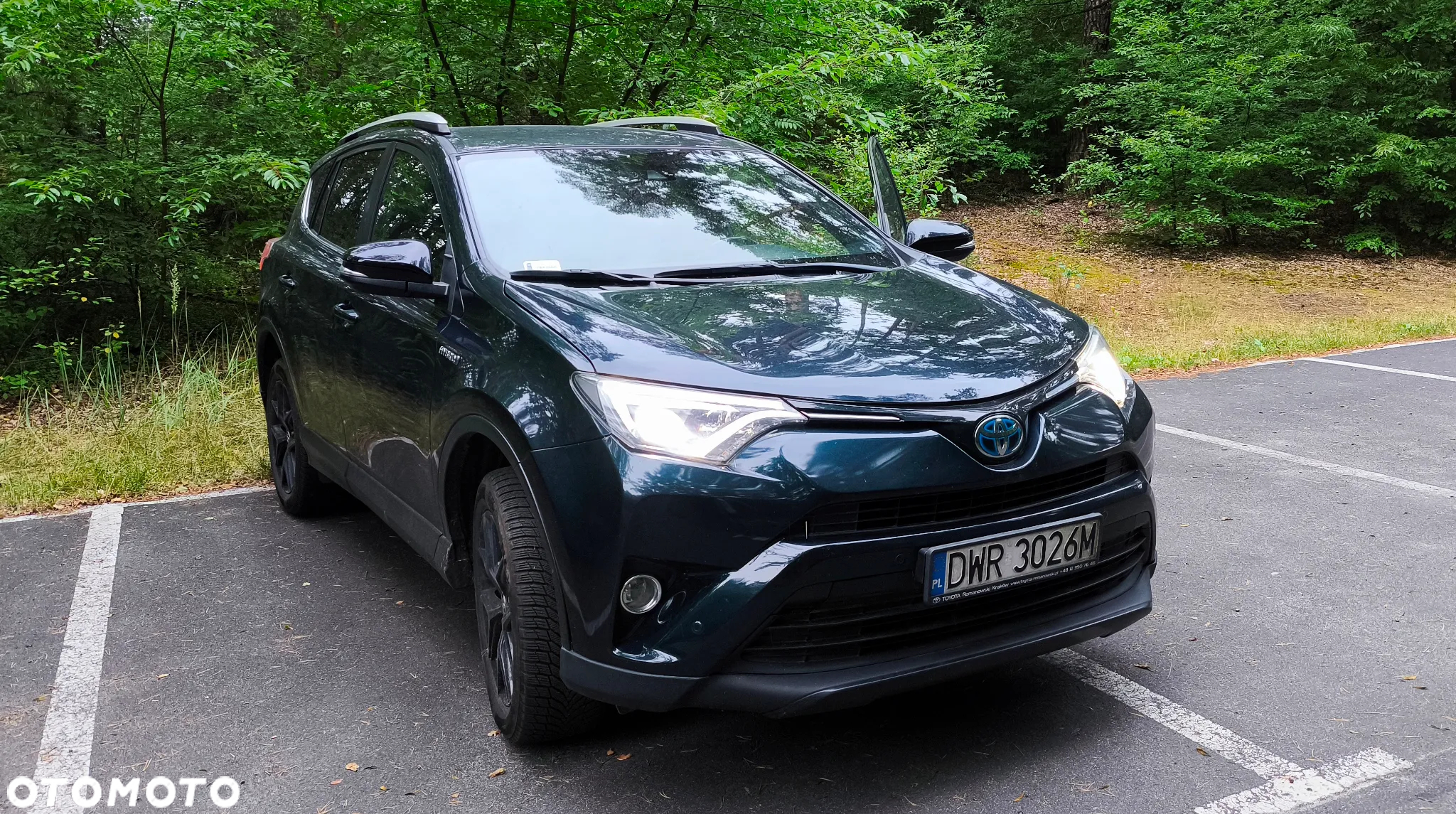 Toyota RAV4 Hybrid Prestige 4x2 - 10