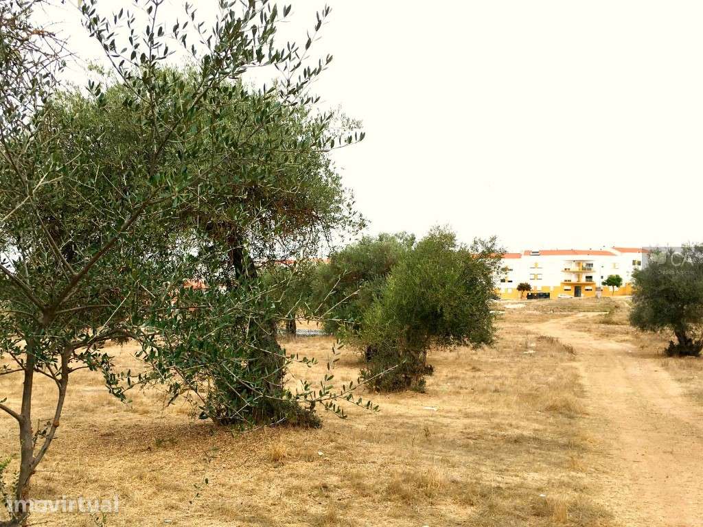 Terreno com 8.750m², com PIP aprovado para realização de loteamento... - Grande imagem: 3/12