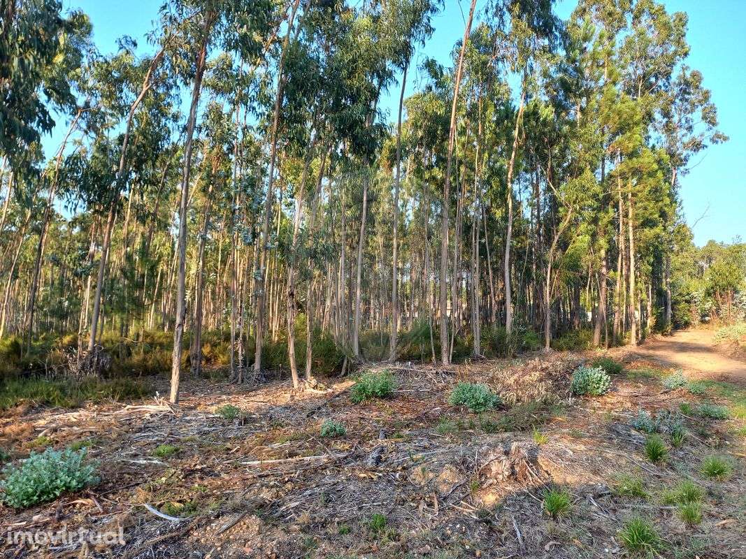 Terreno  para venda - Grande imagem: 2/3