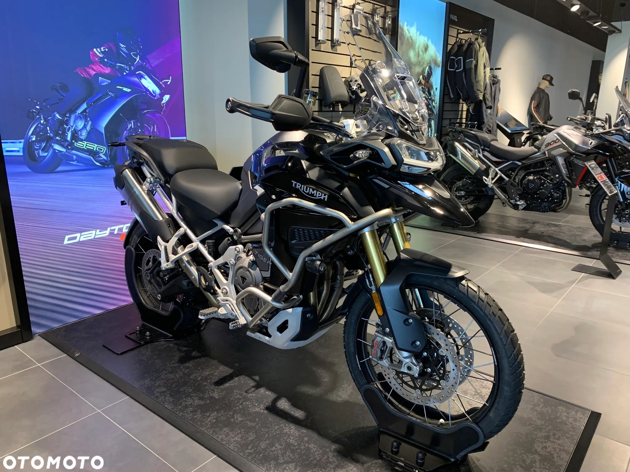 Triumph Tiger - 1