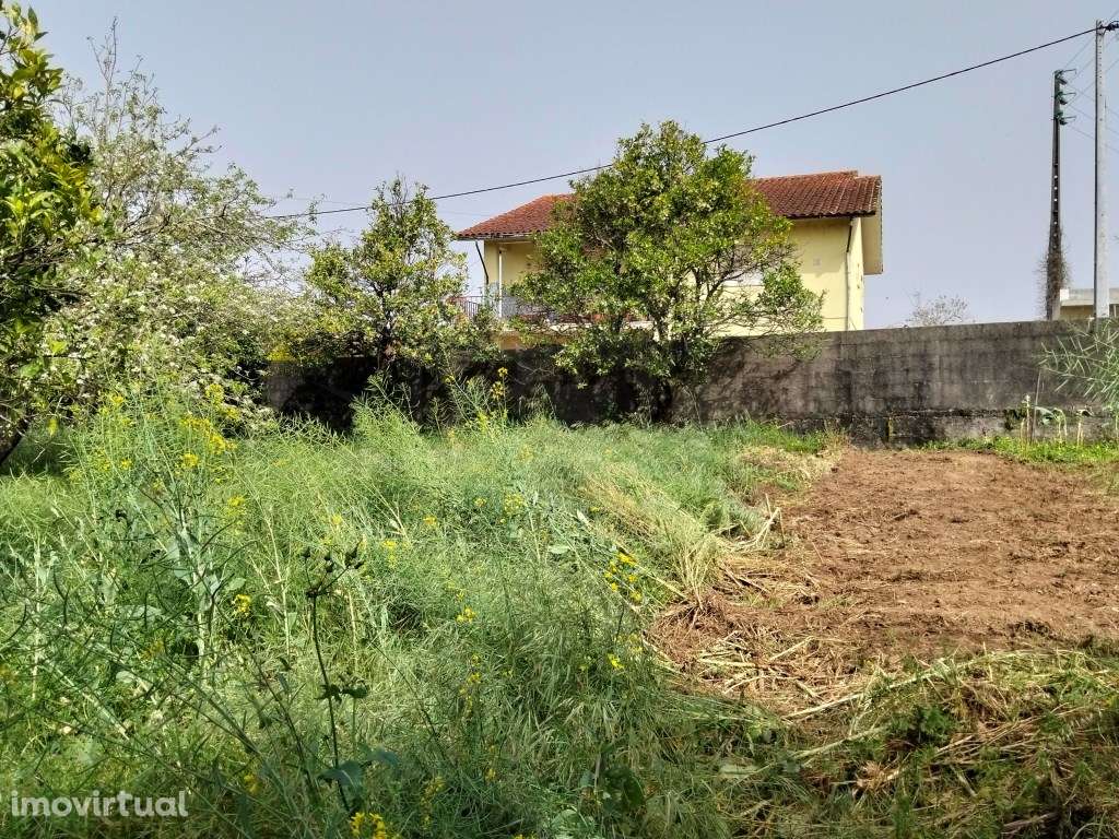Terreno com 30m de frente - Albergaria -a -Velha - Grande imagem: 5/20