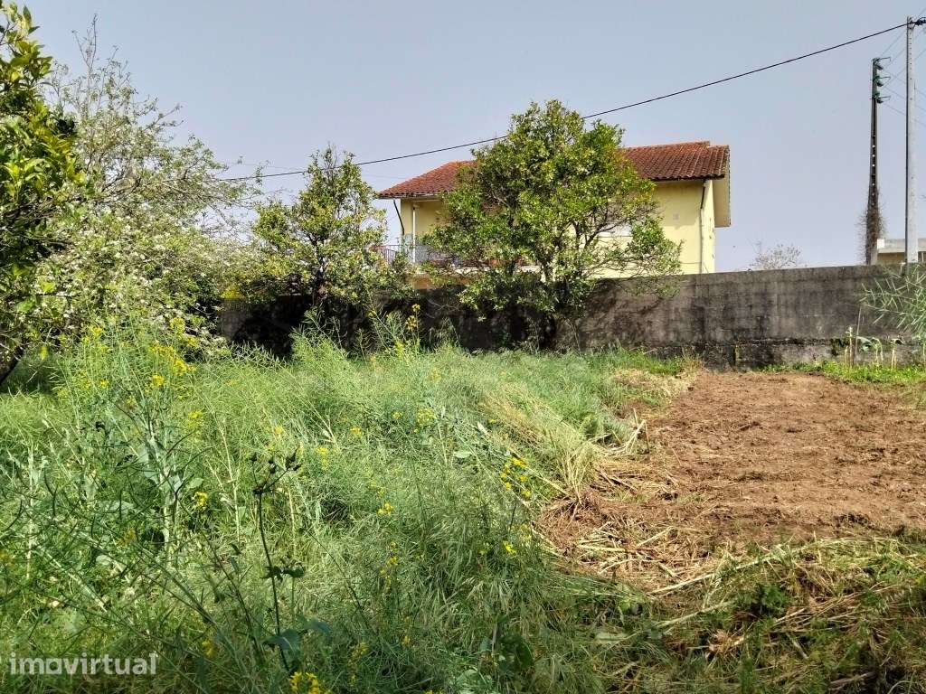 Terreno com 30m de frente - Valmaior - Grande imagem: 5/20