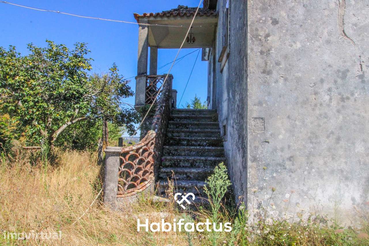 Quinta para Venda em Mangualde - Grande imagem: 4/16