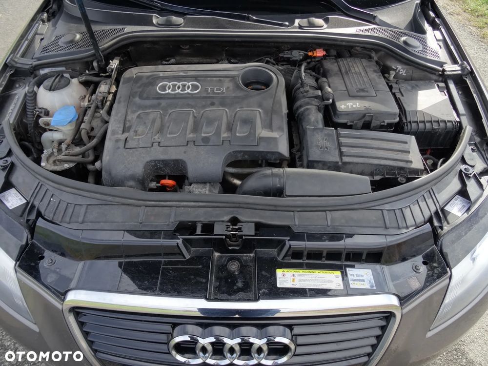 Audi A3 Sportback 2.0 TDI DPF Attraction - 20