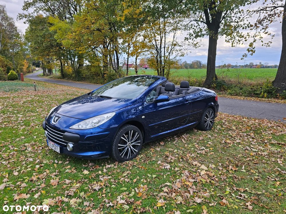 Peugeot 307 CC 140 JBL - 12