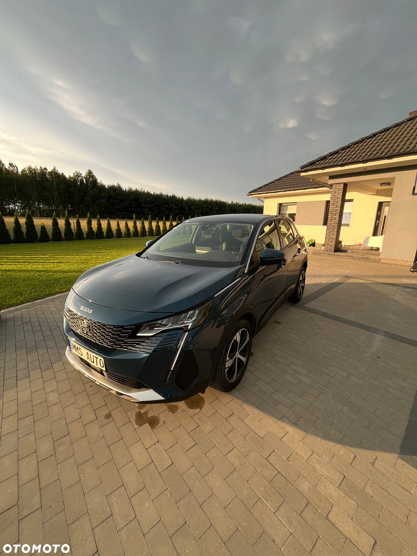 Peugeot 3008 BlueHDi 130 Stop & Start EAT8 Active Pack - 10