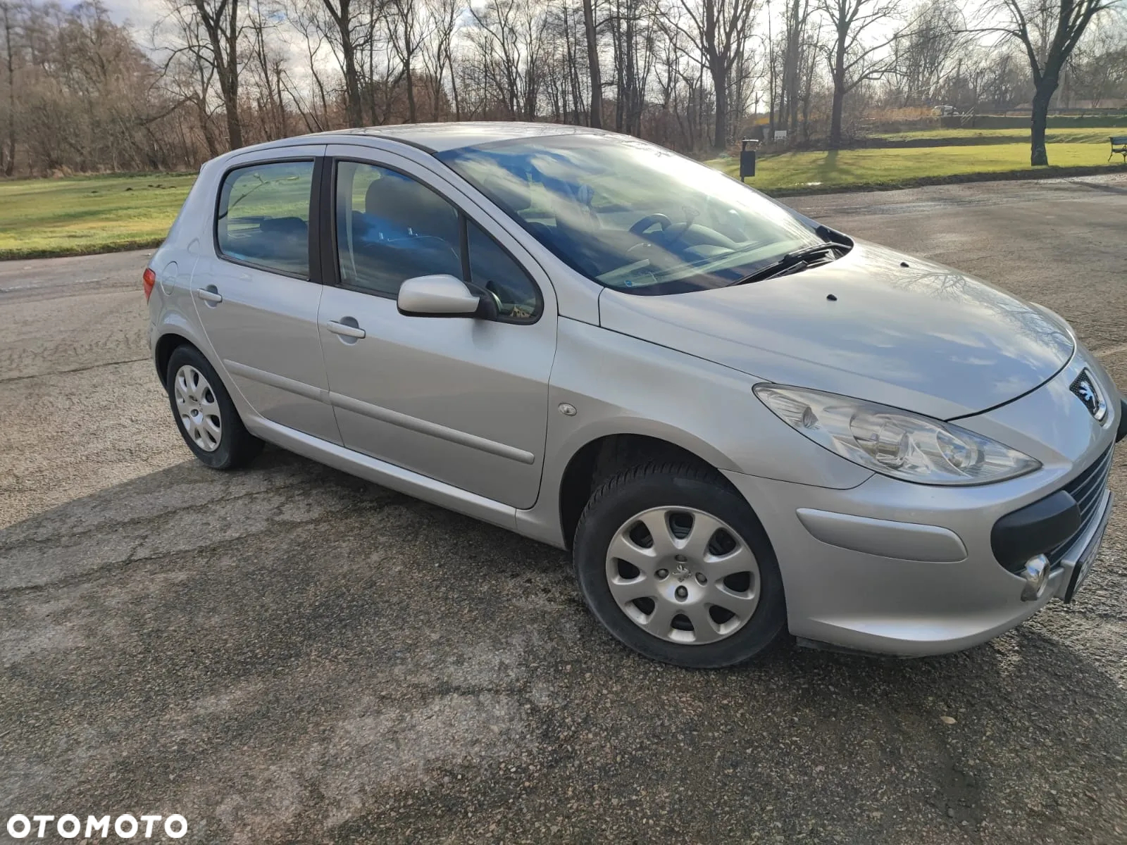 Peugeot 307 1.4 Trendy - 6