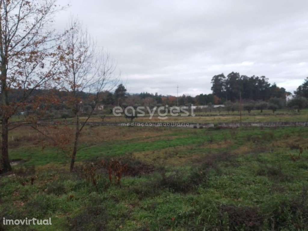 Terreno para construção, localizado em Canas de Santa Maria, Tondela - Grande imagem: 5/16