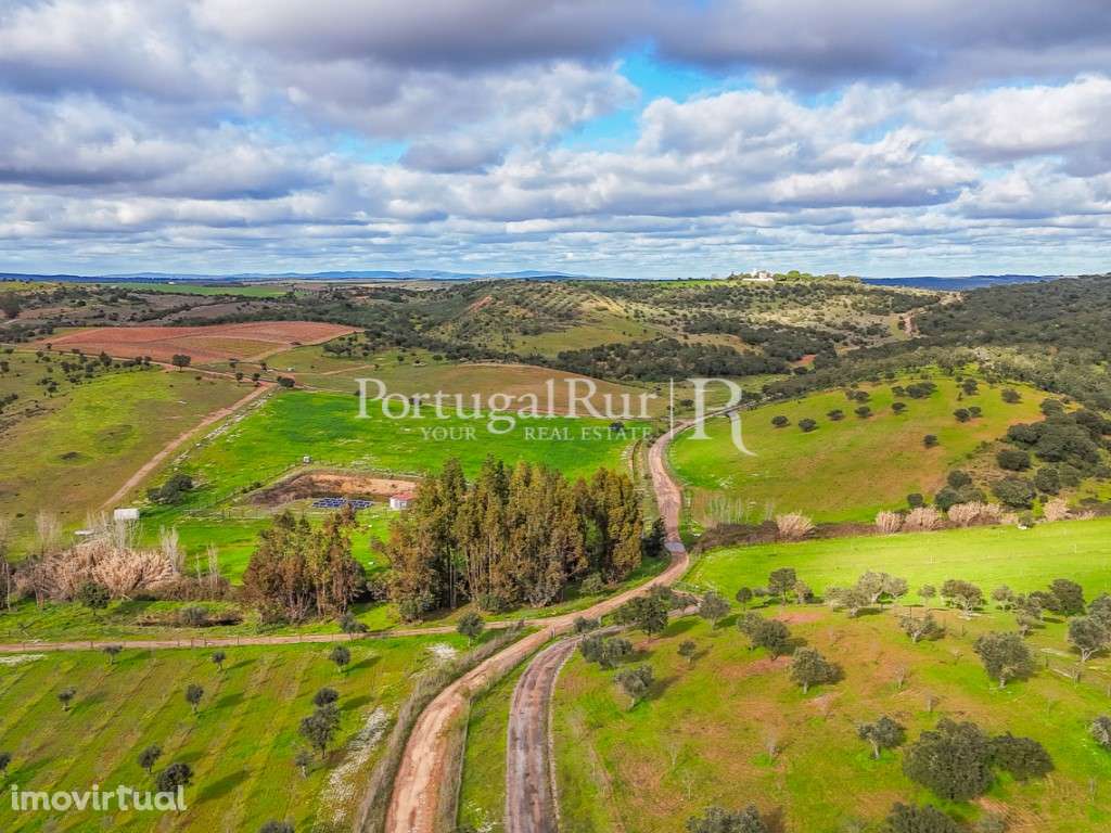 Herdade de 62 ha em Vendinha, Évora - Grande imagem: 4/47