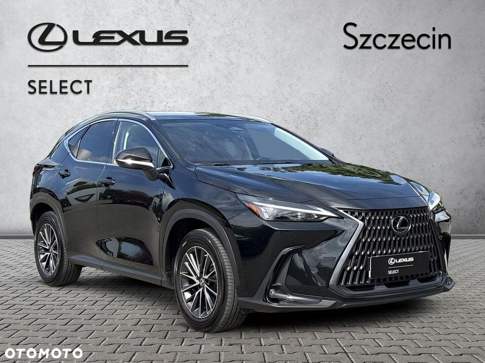 Lexus NX 350h Business AWD - 7