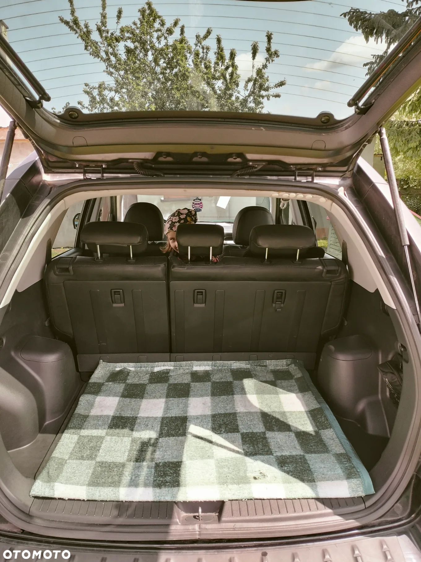 Kia Sportage - 6